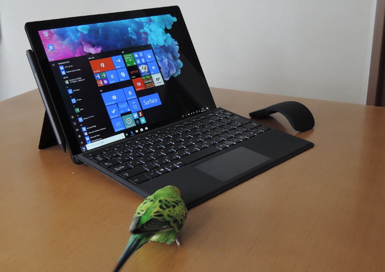 PC/タブレット ノートPC Microsoft Surface Pro 6 レビュー － キープコンセプトながら確実に 
