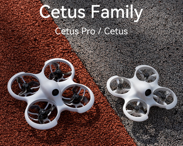 Cetus_Family