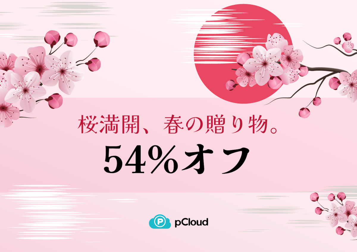 pCloudの桜満開セール