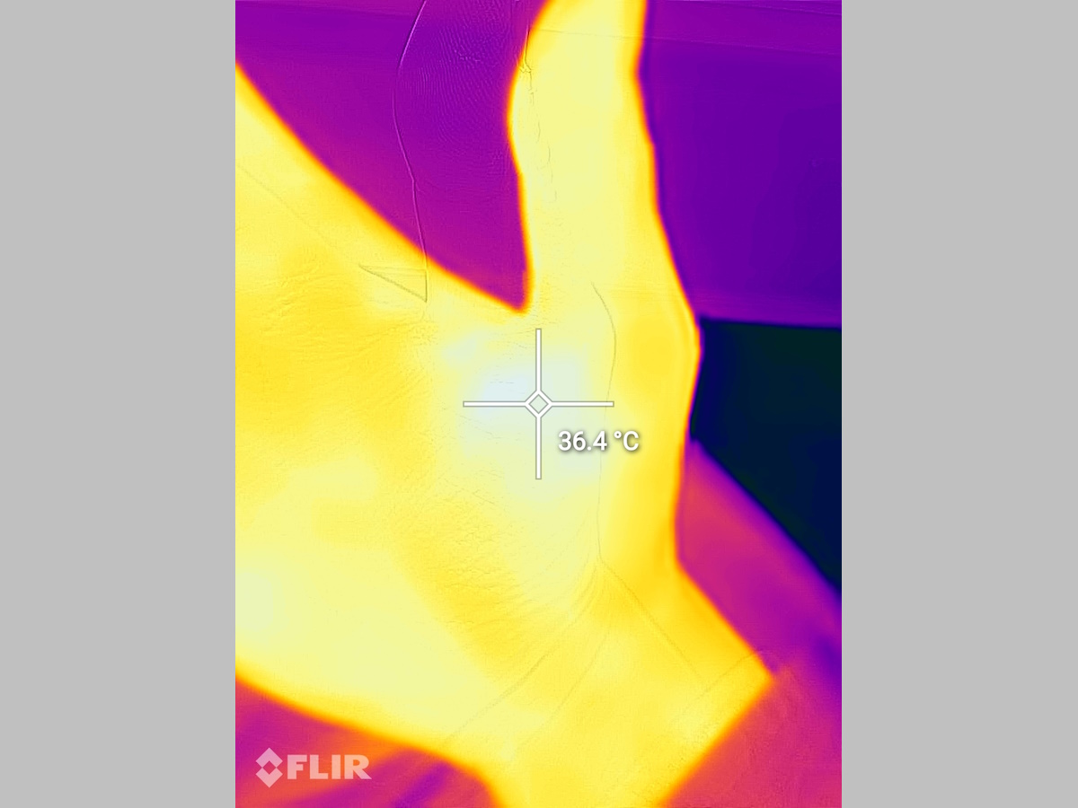 flir_photo