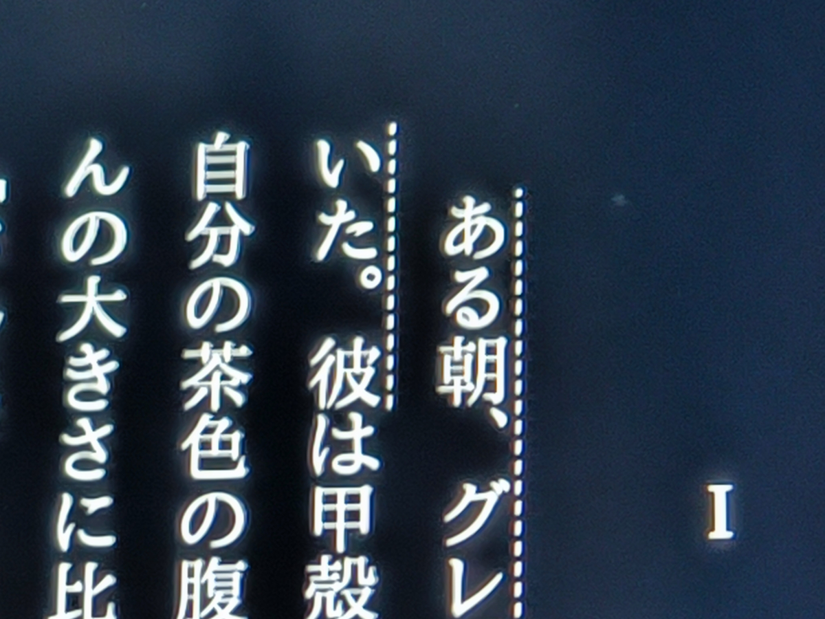 かなり近づいても表示がきれいなのはさすが2.5K