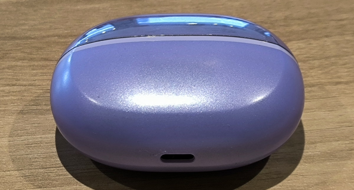 HAYLOU AirFree ケース全体画像