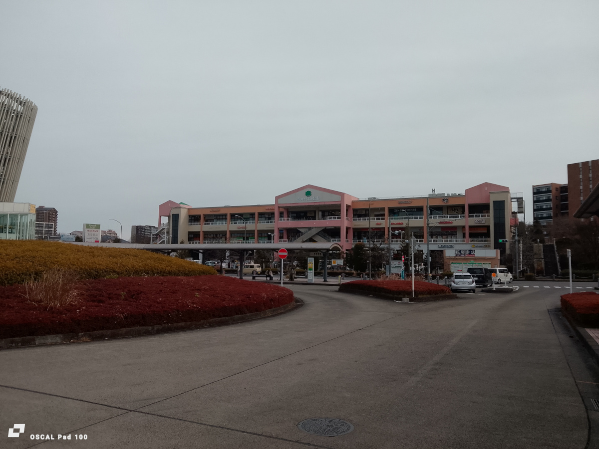 OSCAL Pad 100 カメラ作例