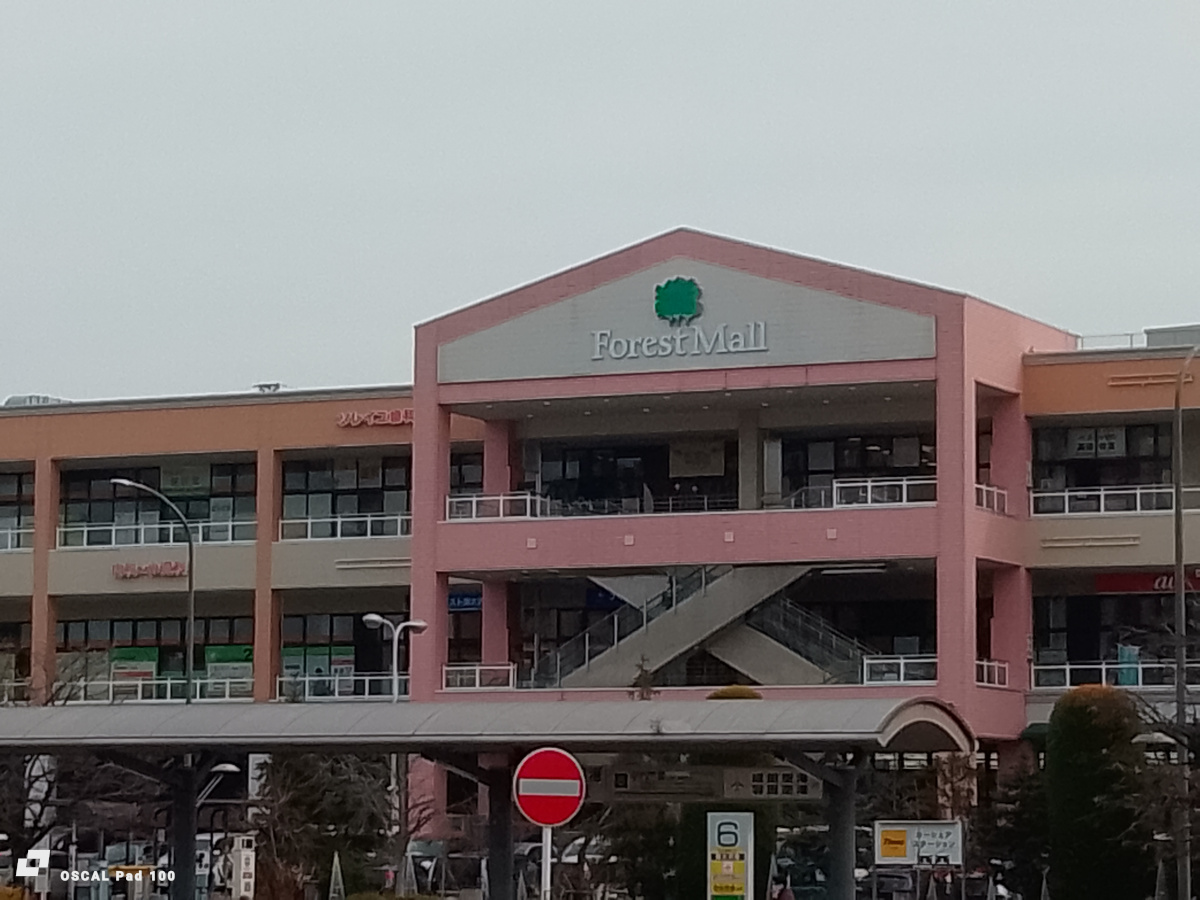 OSCAL Pad 100 カメラ作例(4倍ズーム)