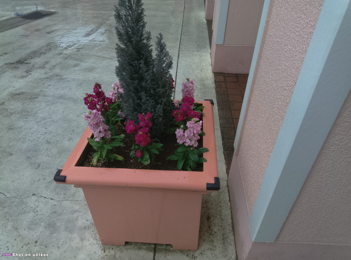 AvidPad S60 写真作例