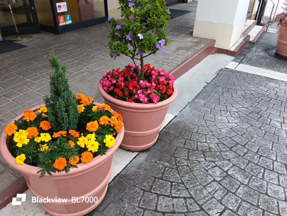 Blackview BL7000 写真作例