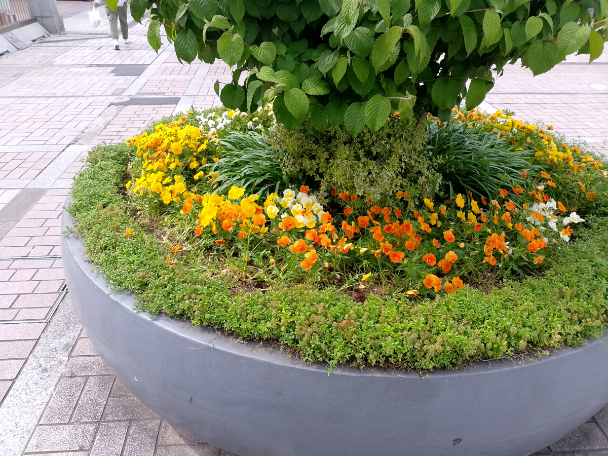 Blackview MEGA 8 写真作例