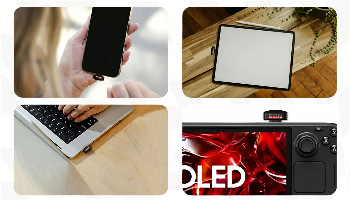 Monster Storage PicoGo