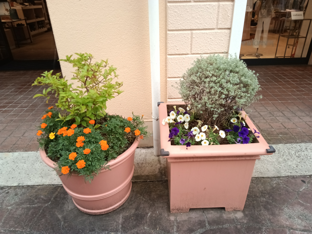 AvidPad A90 写真作例