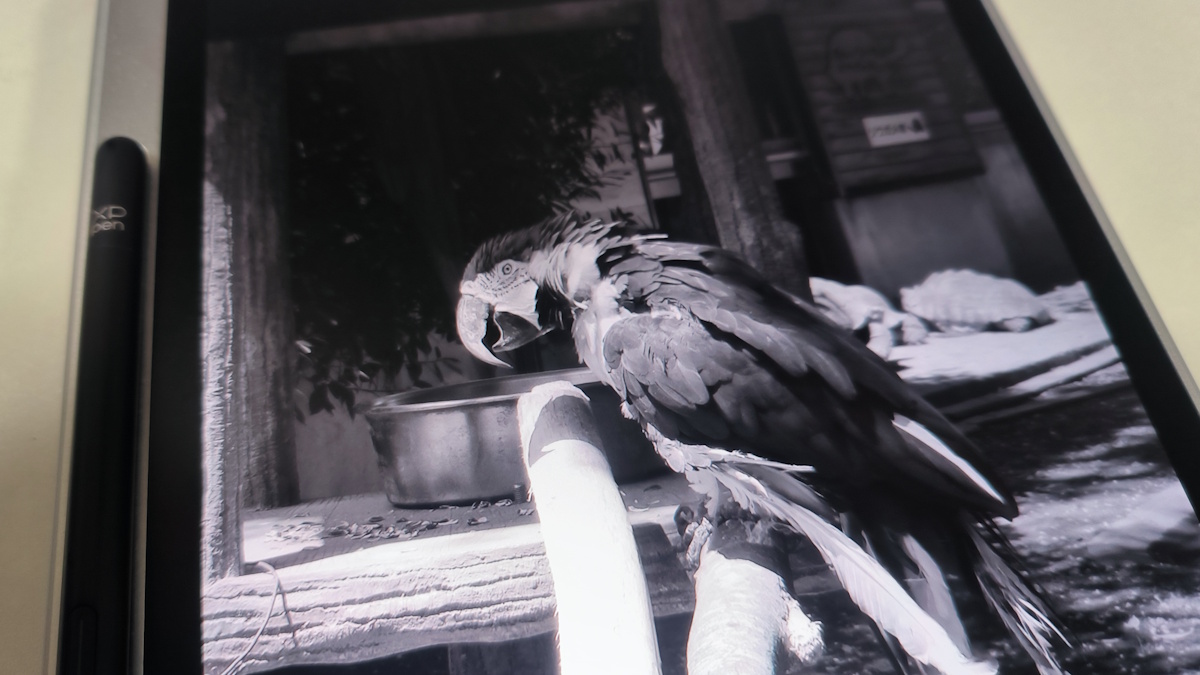 disp_mono