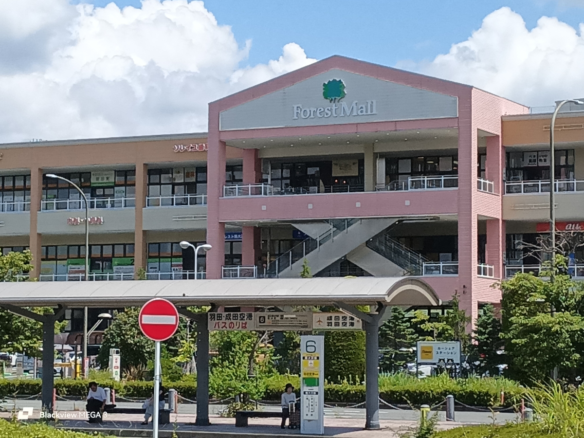 Blackview MEGA 3 写真作例