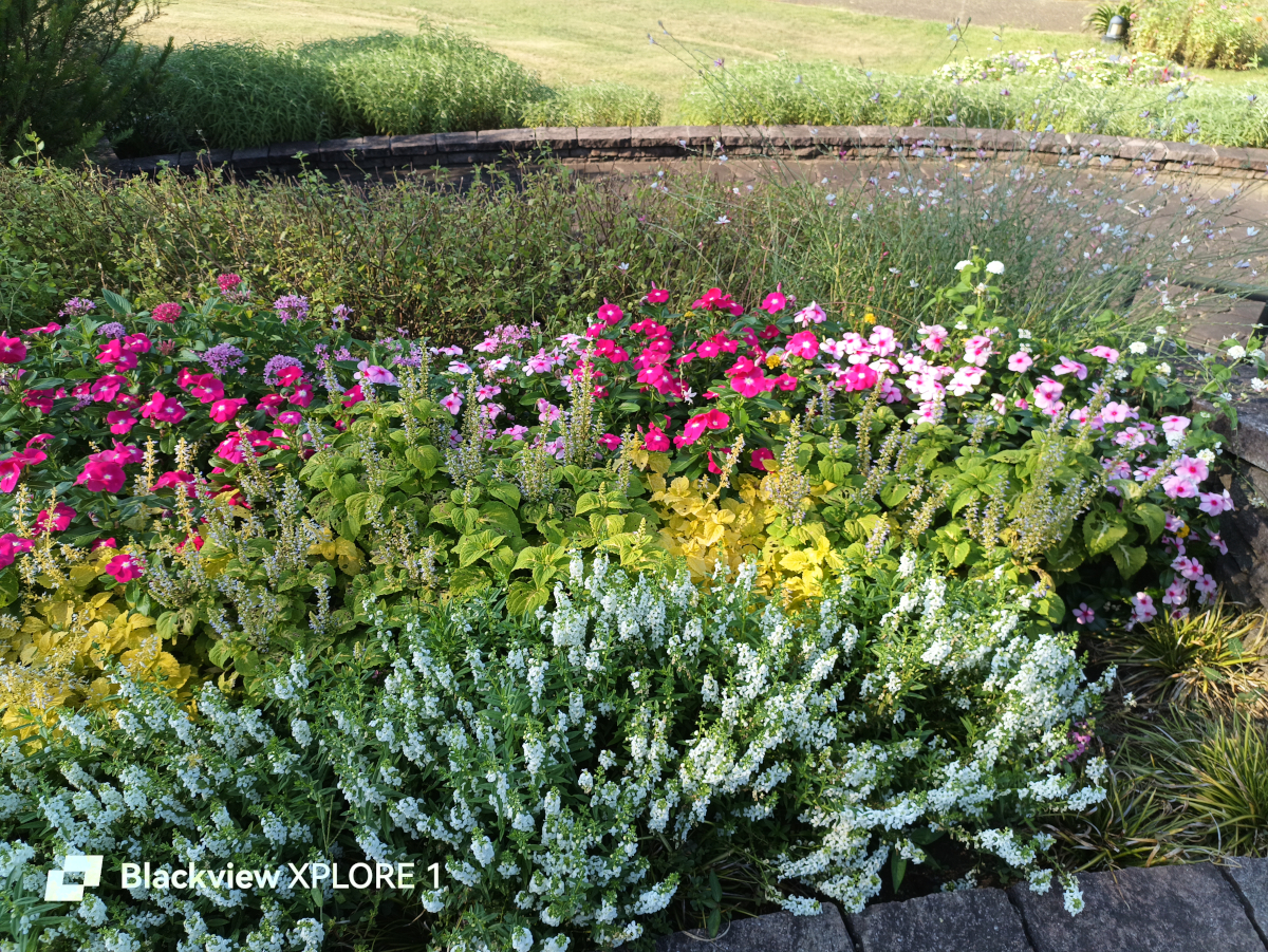 Blackview XPLORE 1 写真作例