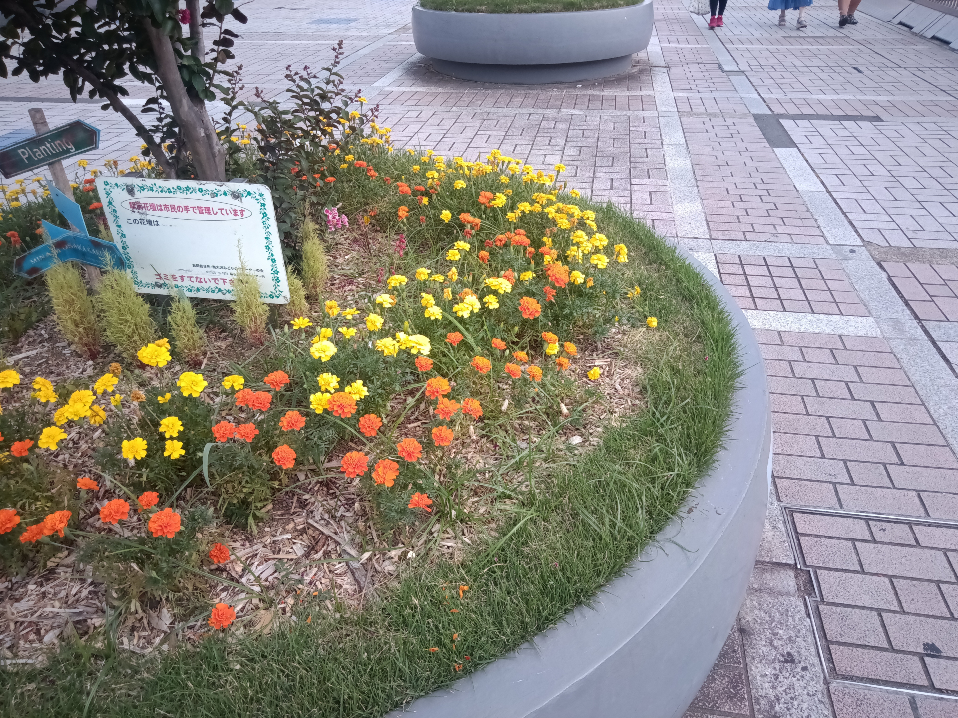 Teclast ArtPad Pro 写真作例