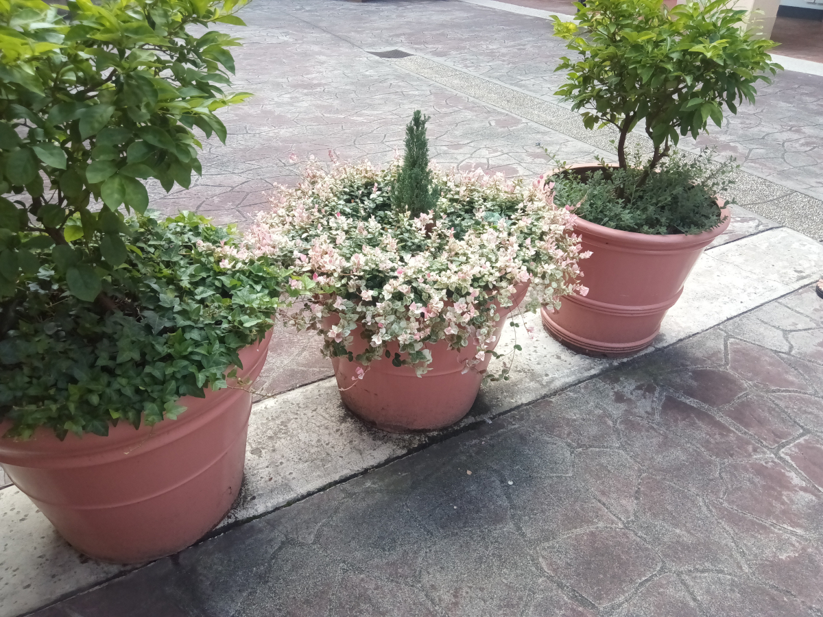 DOOGEE V Pad 写真作例