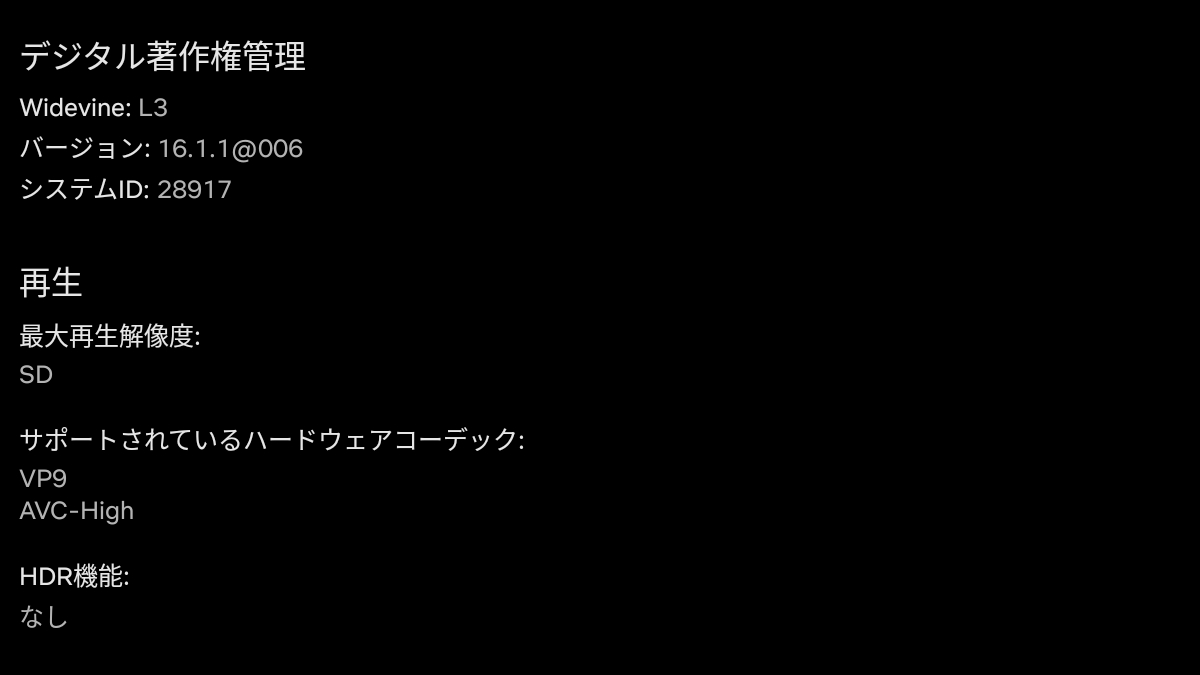 HUION Kamvas Slate 11 Netflixの設定画面