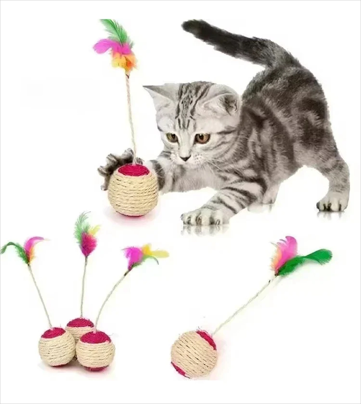cat-toy